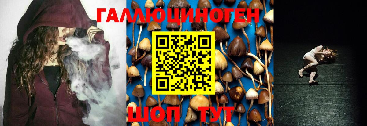Псилоцибиновые грибы мухоморы Саяногорск
